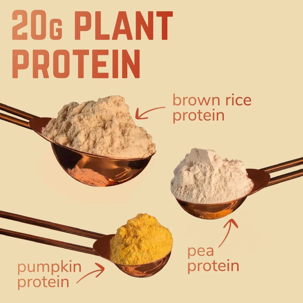 Veloforte Molto: Plant Protein Recovery Drink