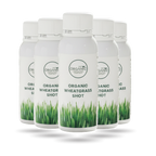 Organic Superfoods Company Wheatgrass Juice Shots 28 x 40ml